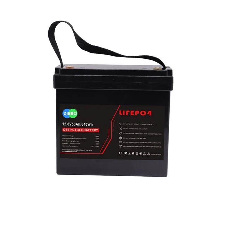 12V 50AH Li-FePO4 BATTTER With BMS